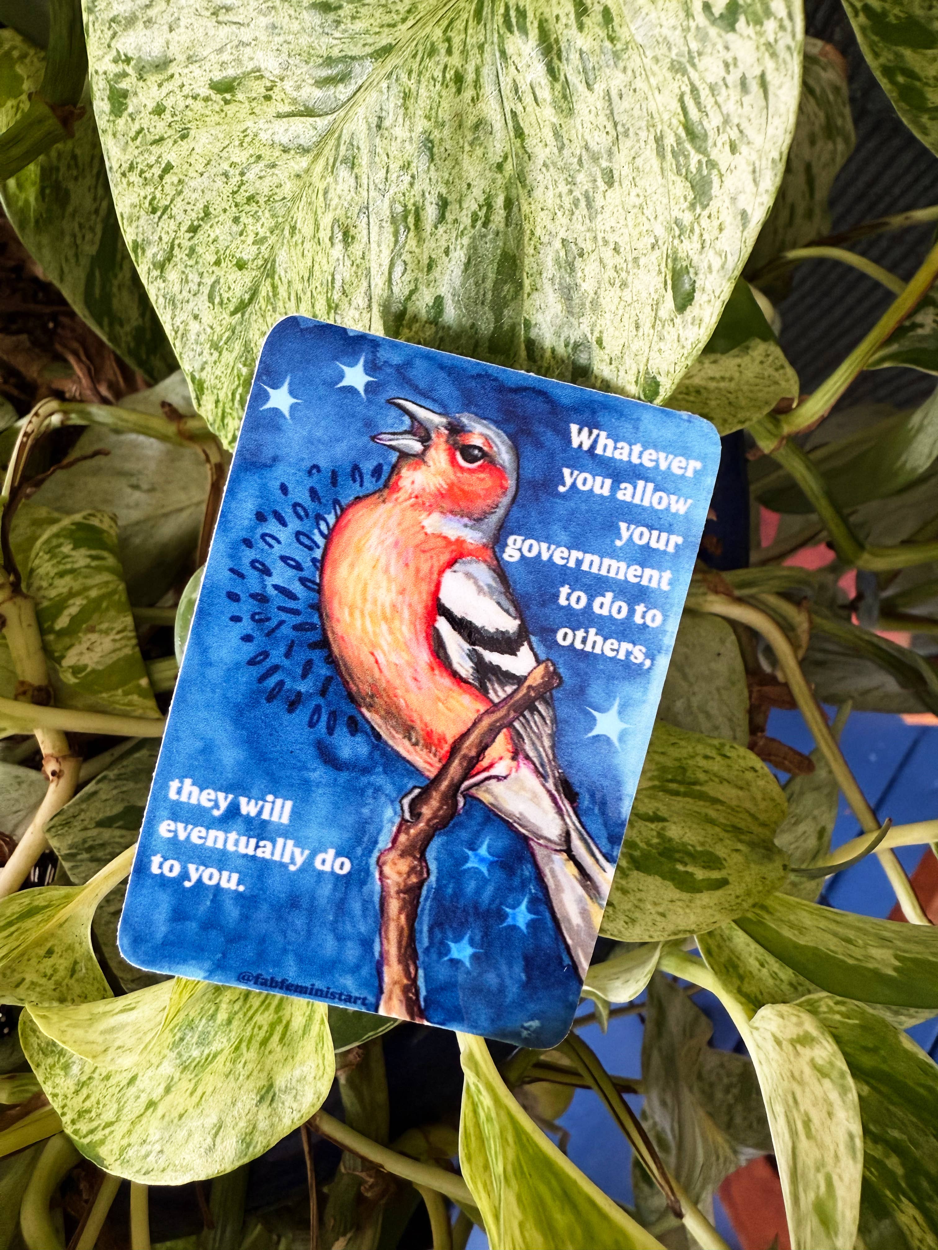 Fabulously Feminist - Wholesale Sticker - Whatever you allow your government to do to others: sticker3