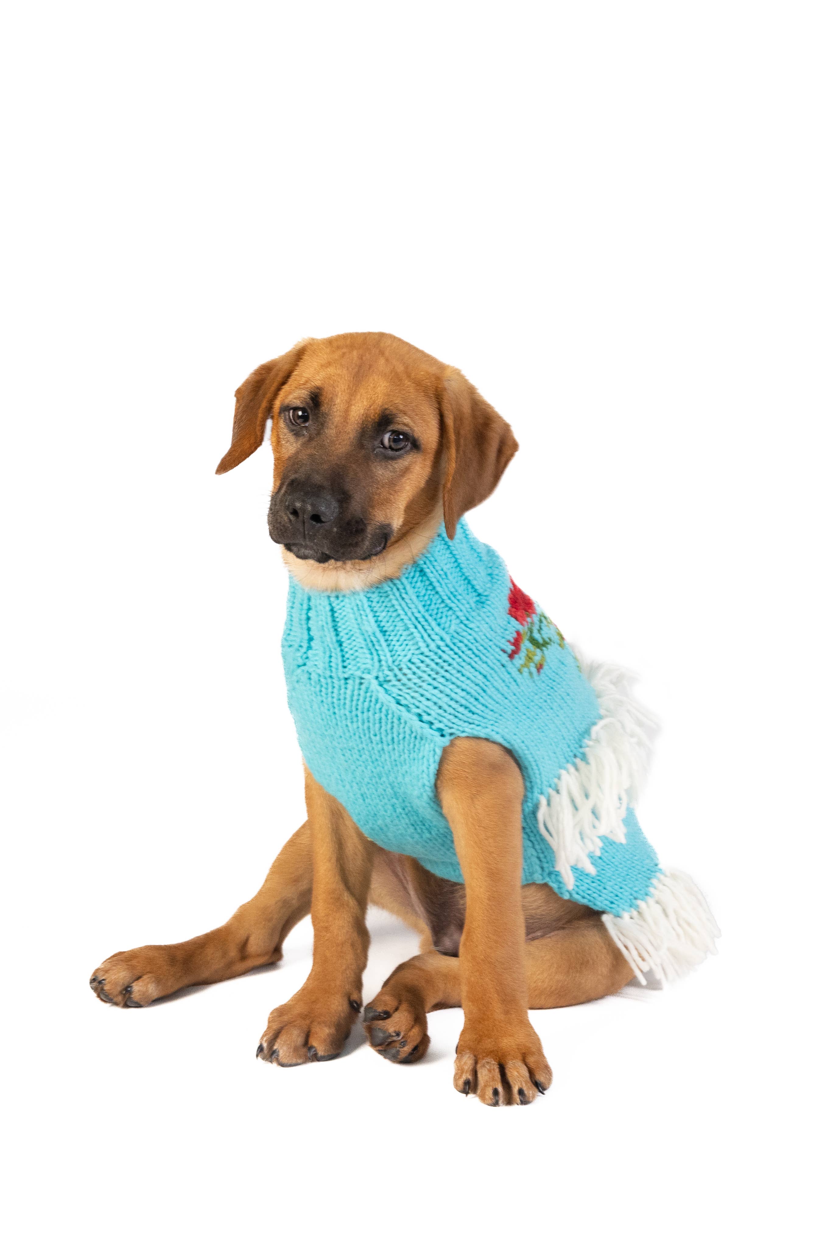 CHILLY DOG LLC – camisola - Cão por atacado – Camisola Chilly Dog Rodeo para cães e gatos  1