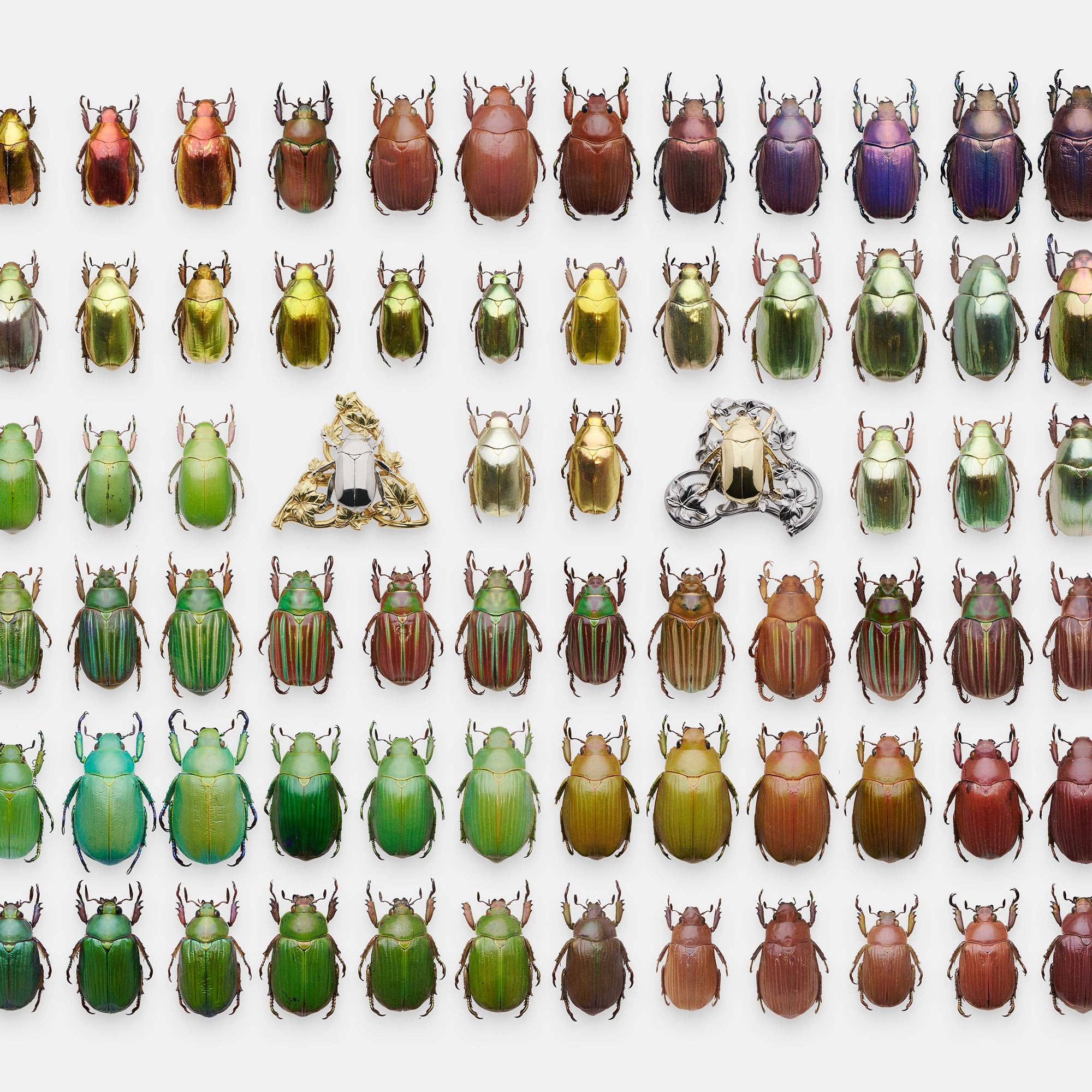 Vermilion Collection - Wholesale Lapel Pin/Button - daparo 3D Copper Pins "Jewel Scarabs"14