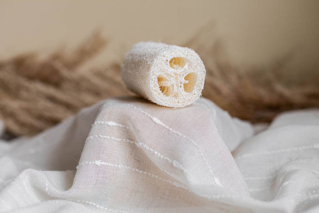 The Waste Less Shop - Wholesale Loofah - Natural Loofah Sponge – Exfoliating & Plastic-Free1