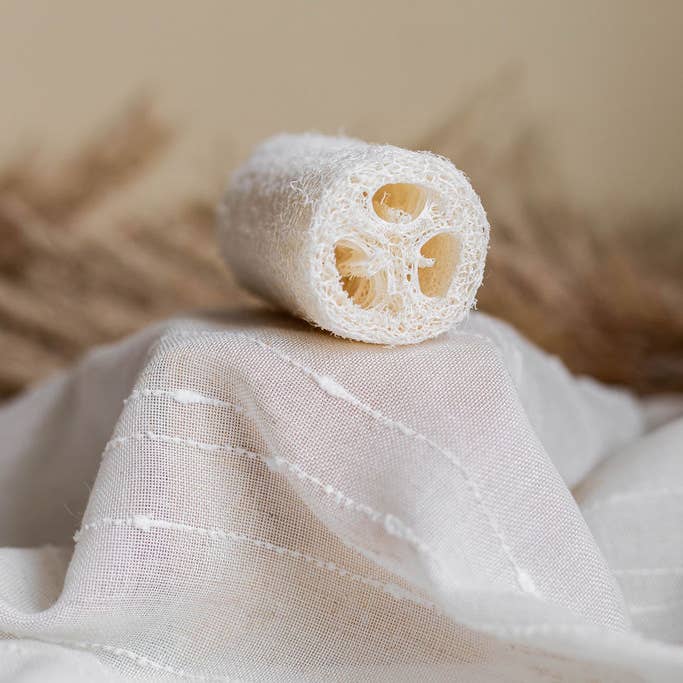 The Waste Less Shop - Wholesale Loofah - Natural Loofah Sponge – Exfoliating & Plastic-Free1