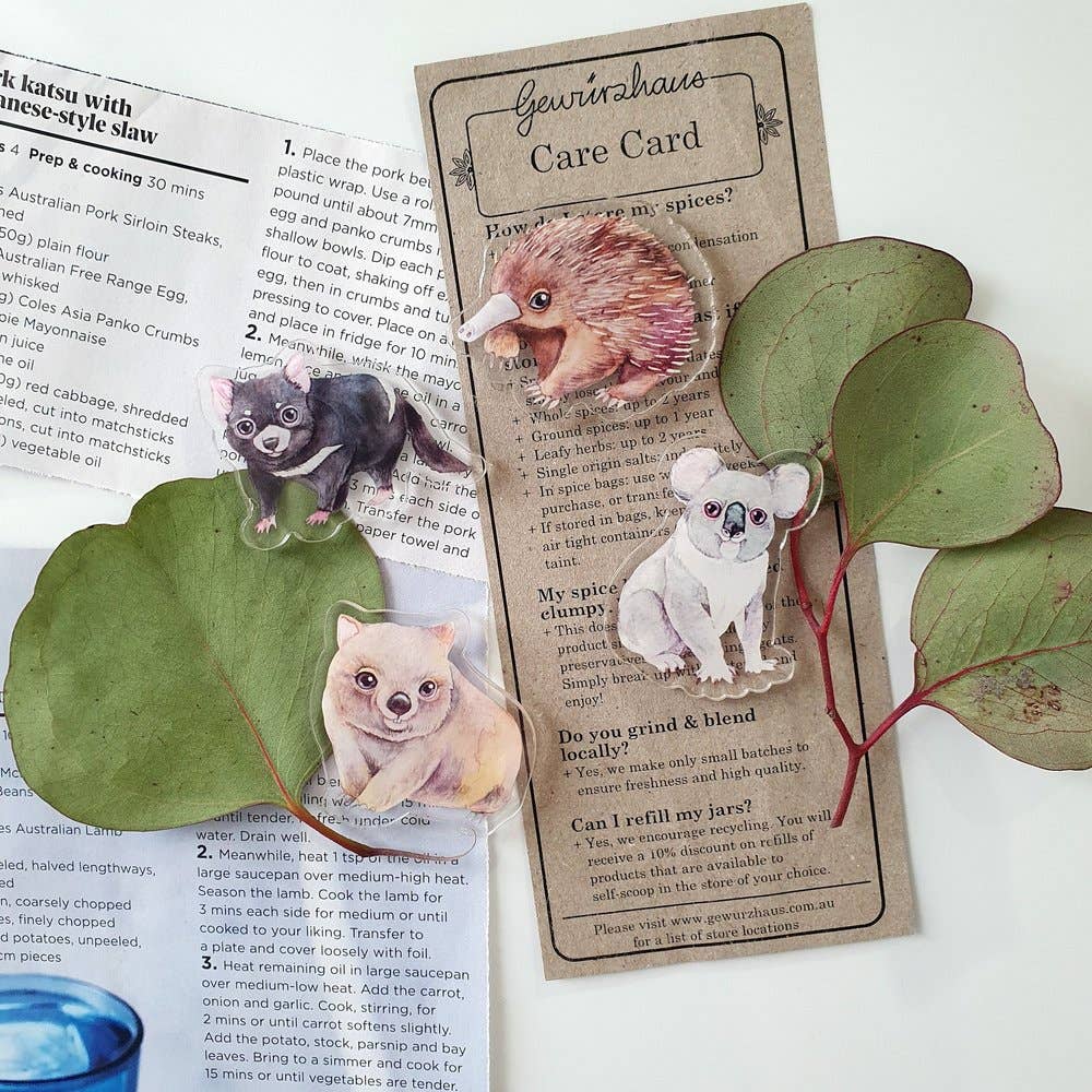 Watercolour By Cat - Venta al por mayor Imanes - Juego de Imanes Acrílicos de Animales de Australia – Pack de 41