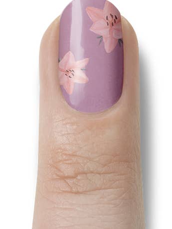 Lilly macia por atacado de Miss Sophie