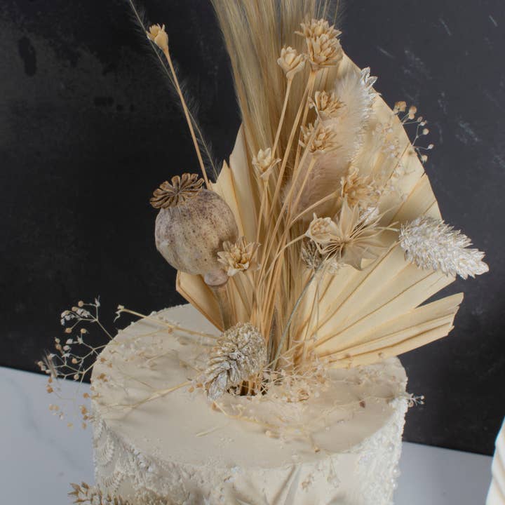 Paquete Beige Bakers para venta al por mayor de pampas studio uk