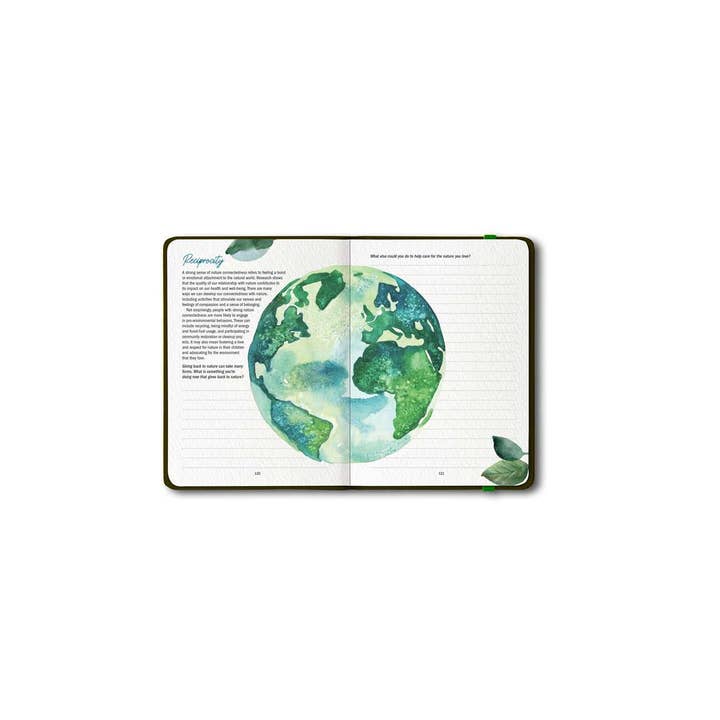 Simon & Schuster - Wholesale Journal/Diary - Grounded by Patricia H. Hasbach9