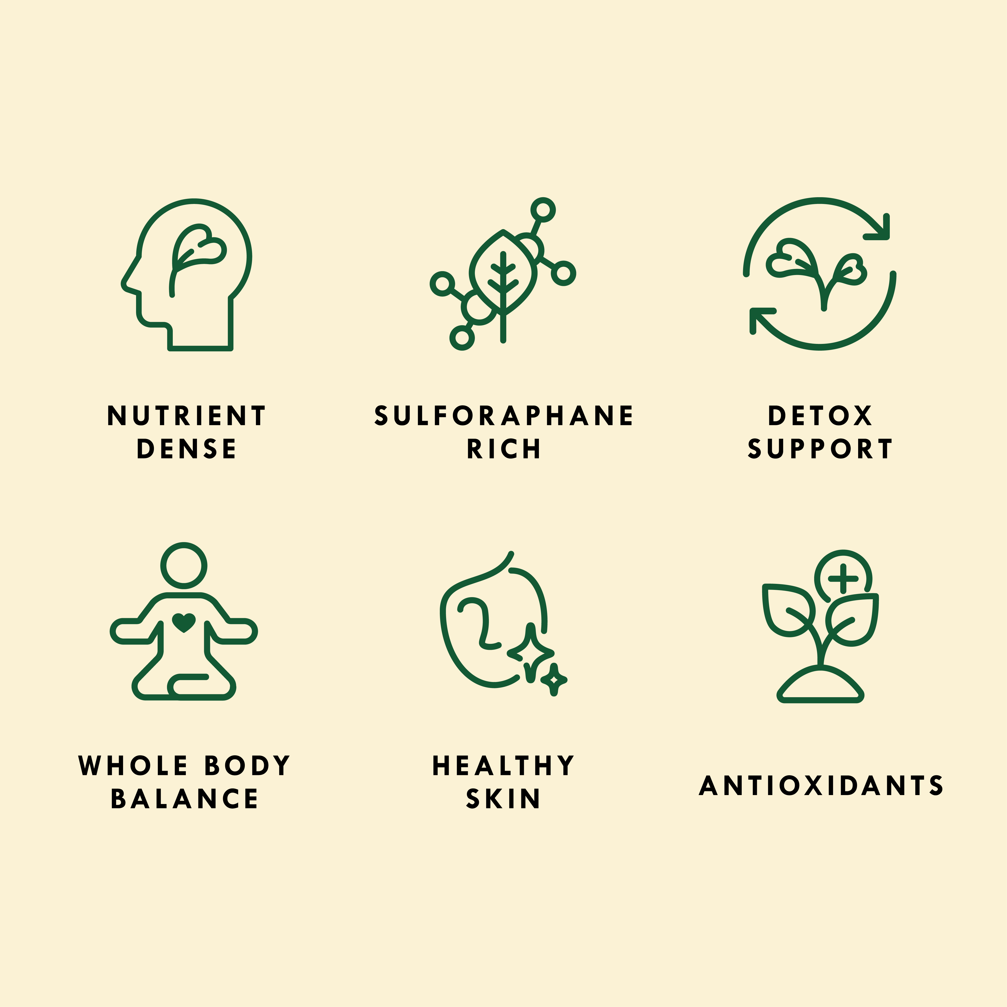 Sproutman - Vente Graines de plantes - Graines biologiques de brocoli pour germination3