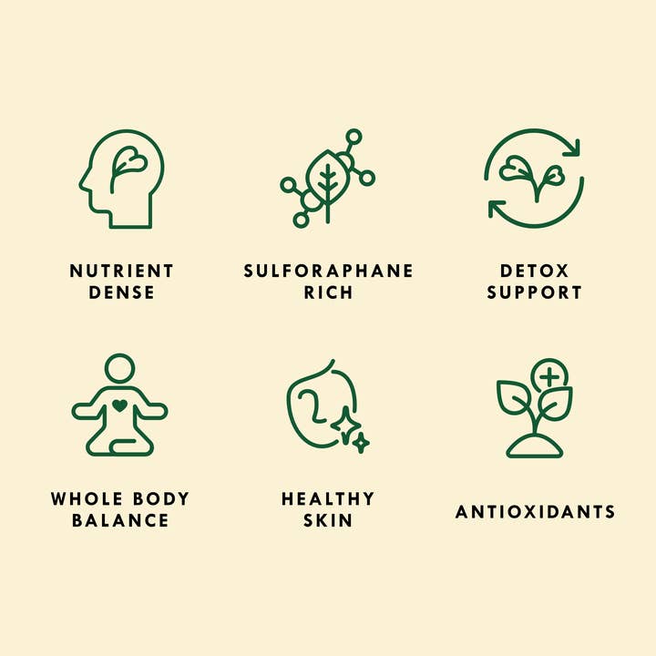 Sproutman - Wholesale Plant Seeds - Organic Broccoli Blend Sprouting Seed3