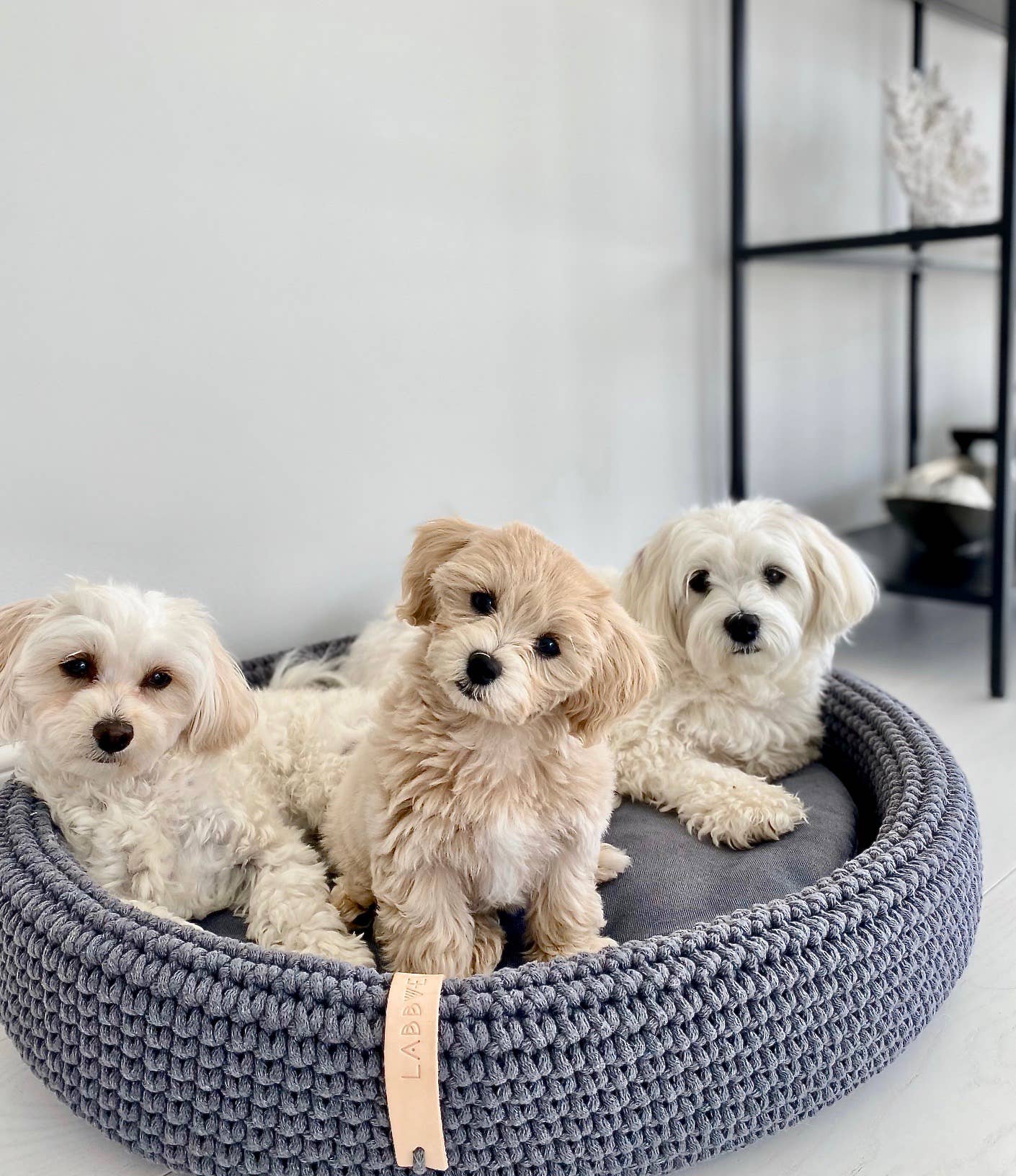 Labbvenn - Vente Panier – chien - Panier pour chien Lukko de forme ovale unique, entièrement fait à la main7