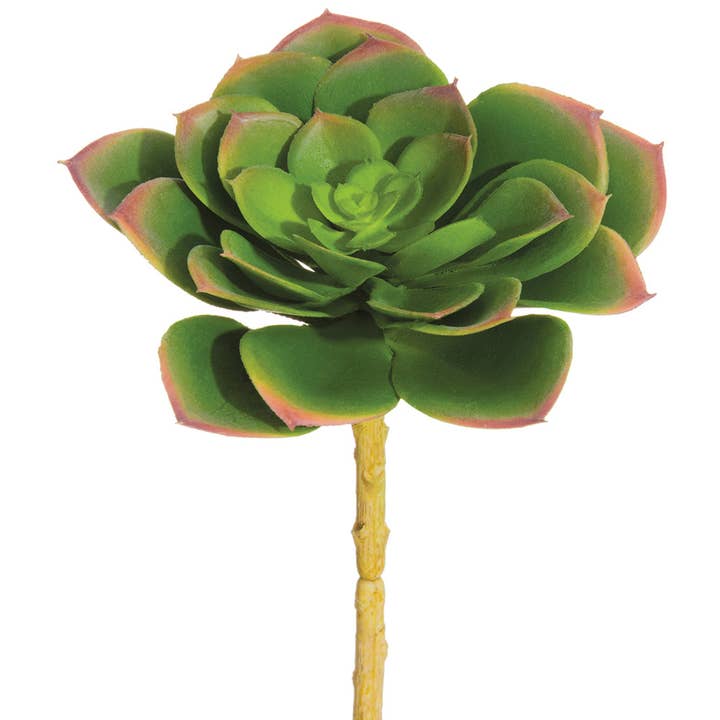 5.5"Hx4.5"D Soft Echeveria Pick (12 pcs) for wholesale by JENNY SILKS