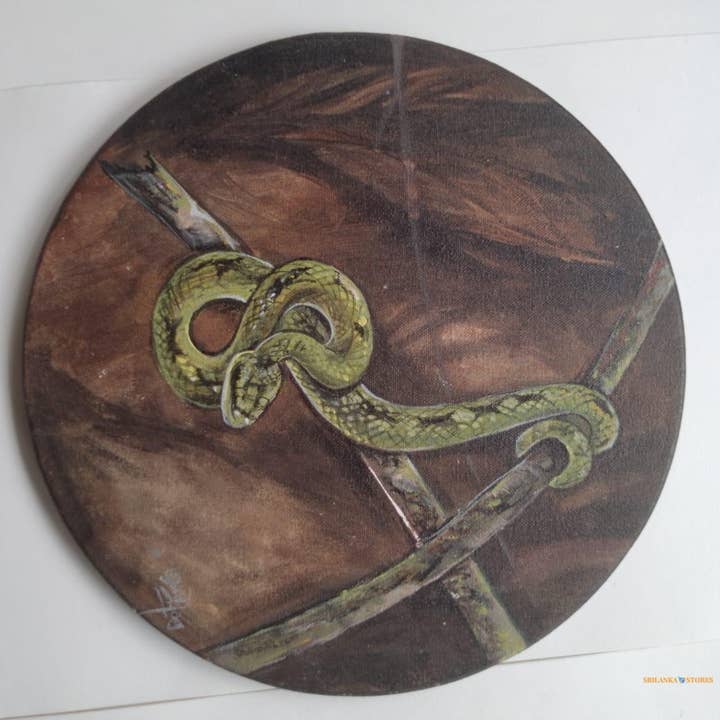 Pintura de Vida Silvestre – Víbora Verde de Sri Lanka (12") para venta al por mayor de Cmart