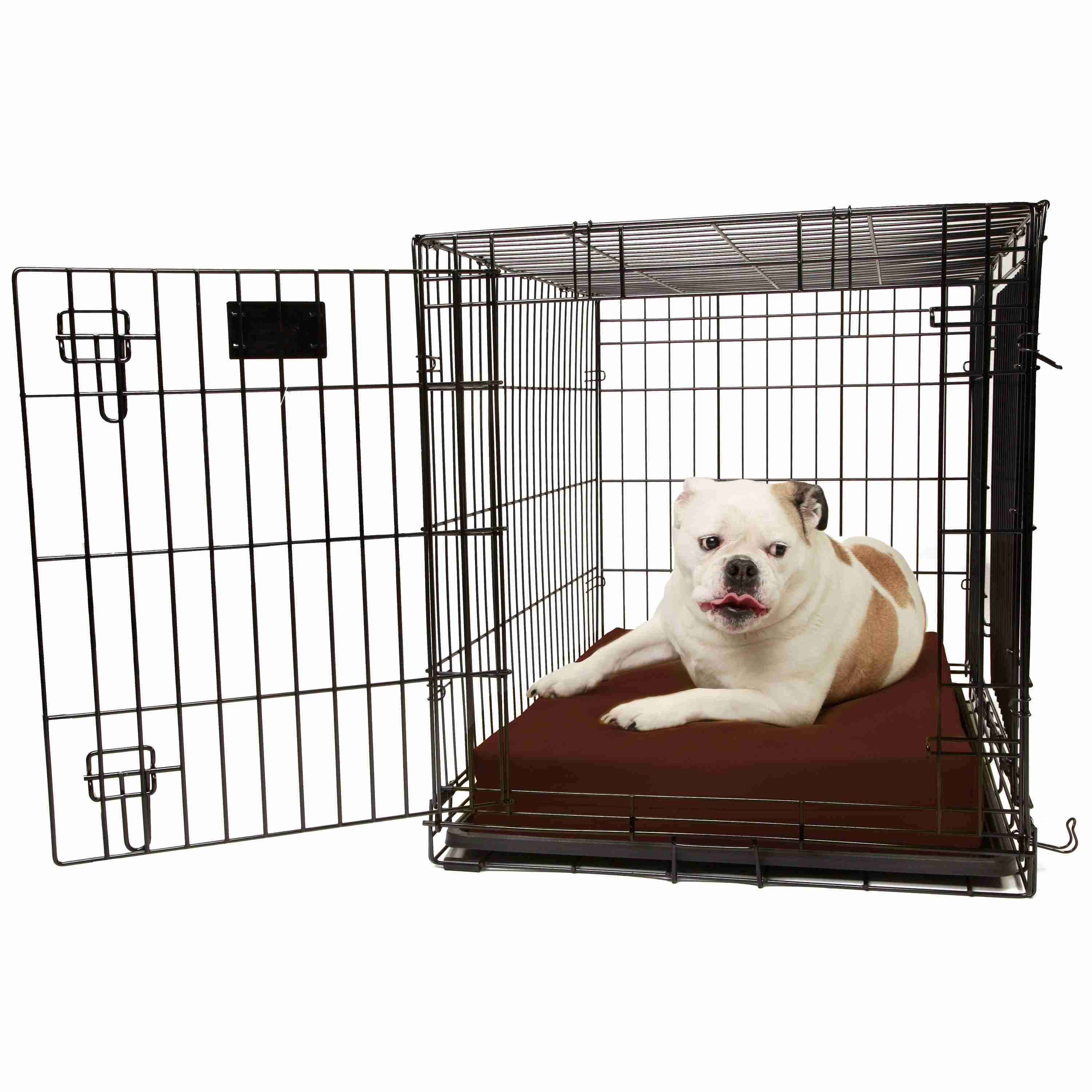 Barker Beds - Wholesale Pet Bed - Dog - 4" Orthopedic Crate Bed12