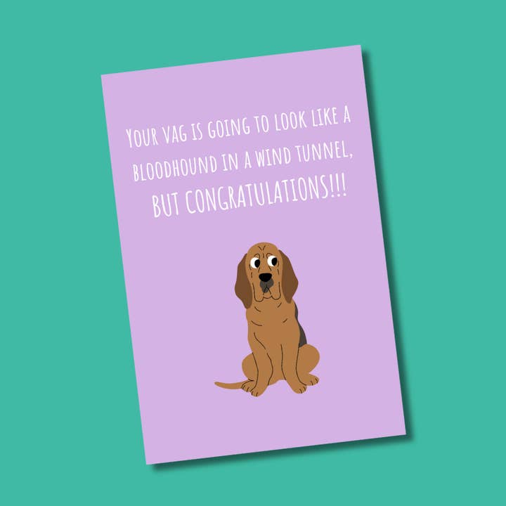 Your Vag Is Going to Look Like A Bloodhound In A Wind Tunnel for wholesale by Two Brits Print Co