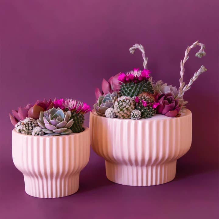 Jungle Club – wholesale Plant pot – Presley Pedestal Planter | Ballerina0
