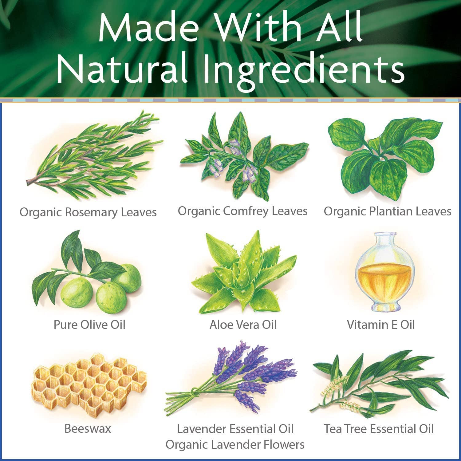 Island Soap & Candle Works - Wholesale Bar Soap - All Natural Surfer's Salve Soap4