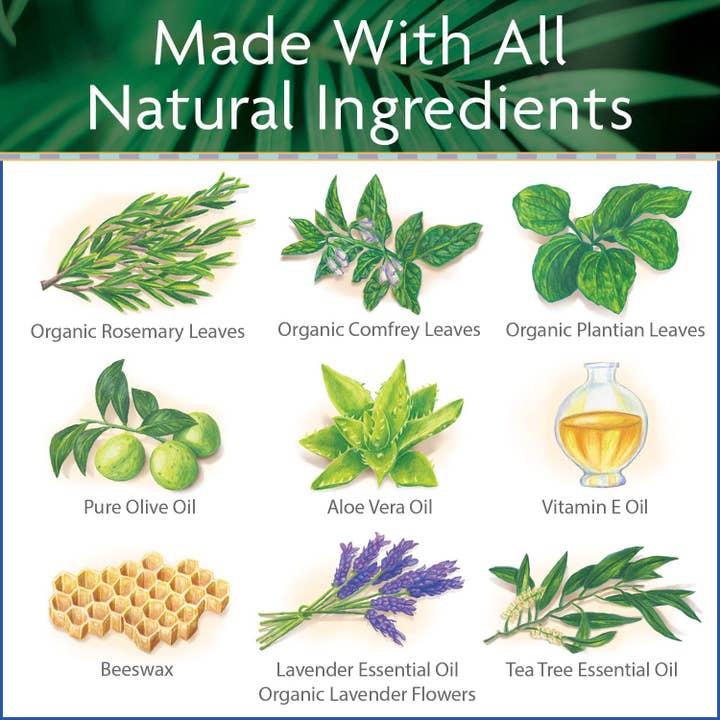 Island Soap & Candle Works - Wholesale Healing Salve/Balm/Cream - Large All Natural Surfer's Salve - 4 oz. Tin5