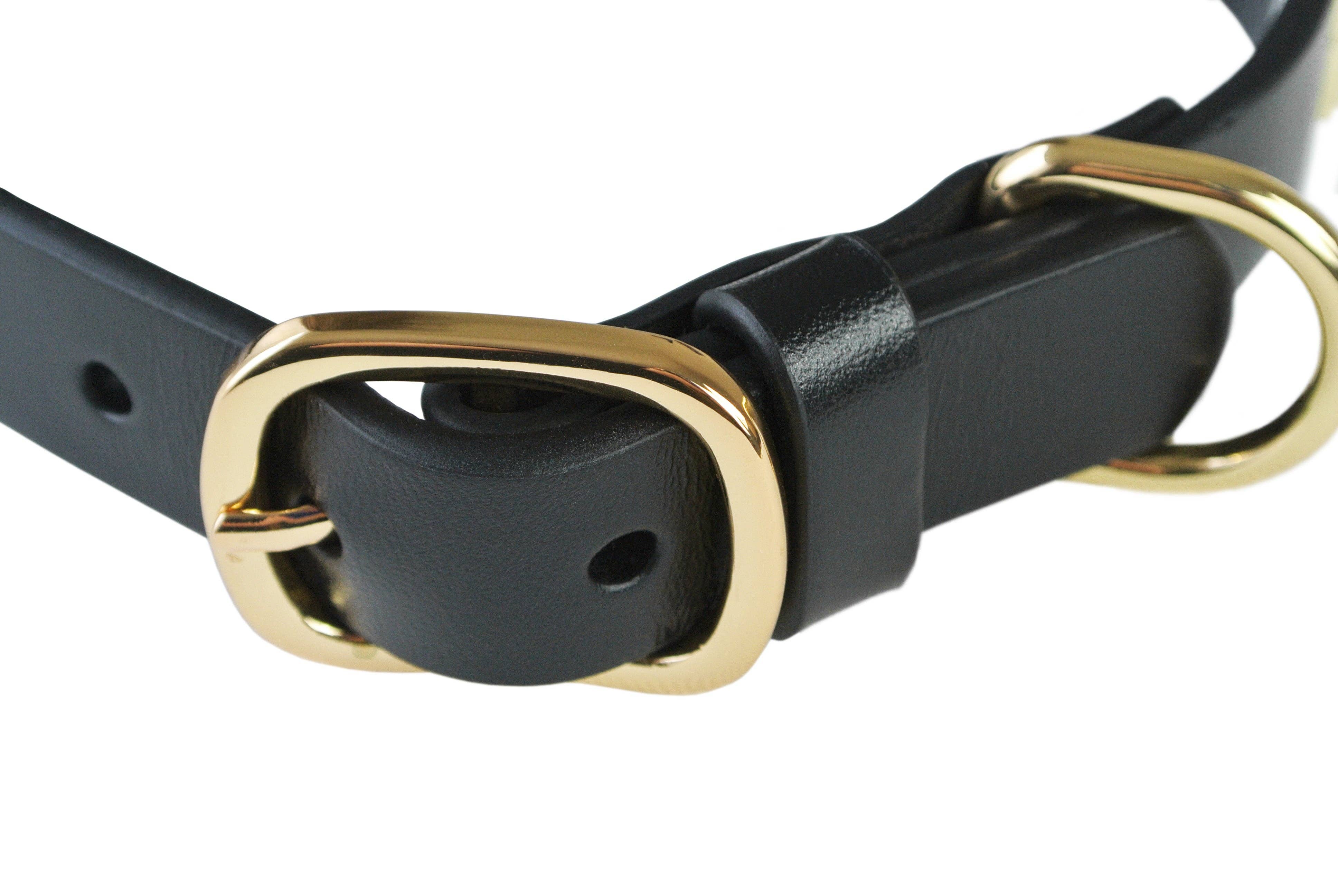 eye of dog - Wholesale Pet Collar - Dog - Lightning Bolt Collar2