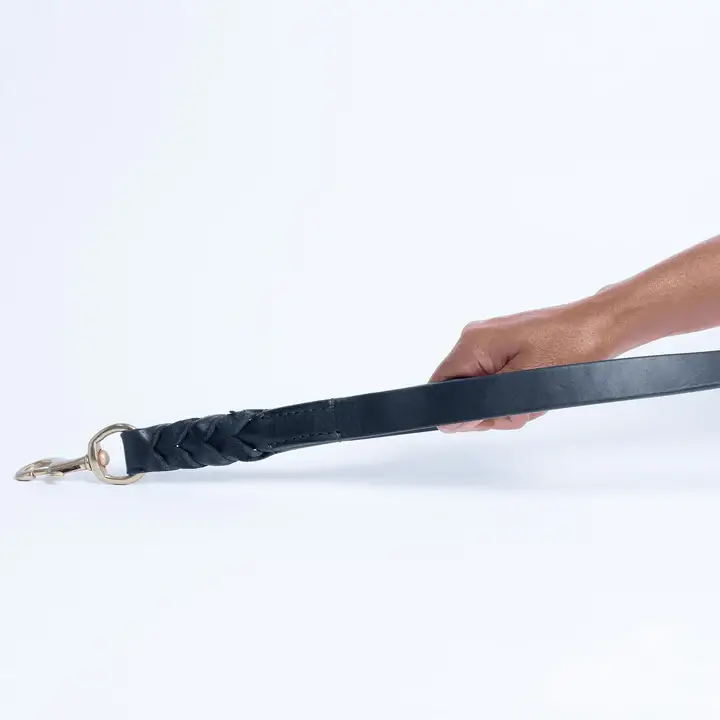 Angel Pet Supplies Inc. - Wholesale Pet Leash - Dog - Leather Braided Leash DBL Handle by ANGEL™5