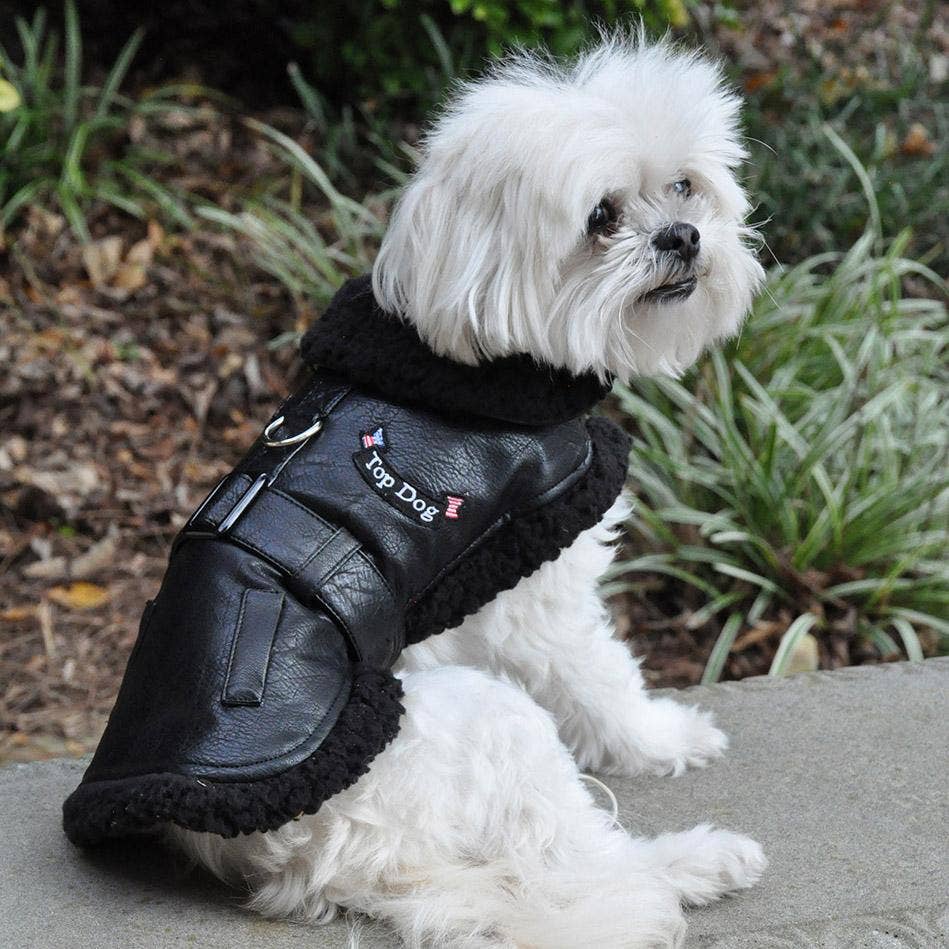 Doggie Design – wholesale Pet coat – Dog – Top Dog Flight Harness Coat - Black2