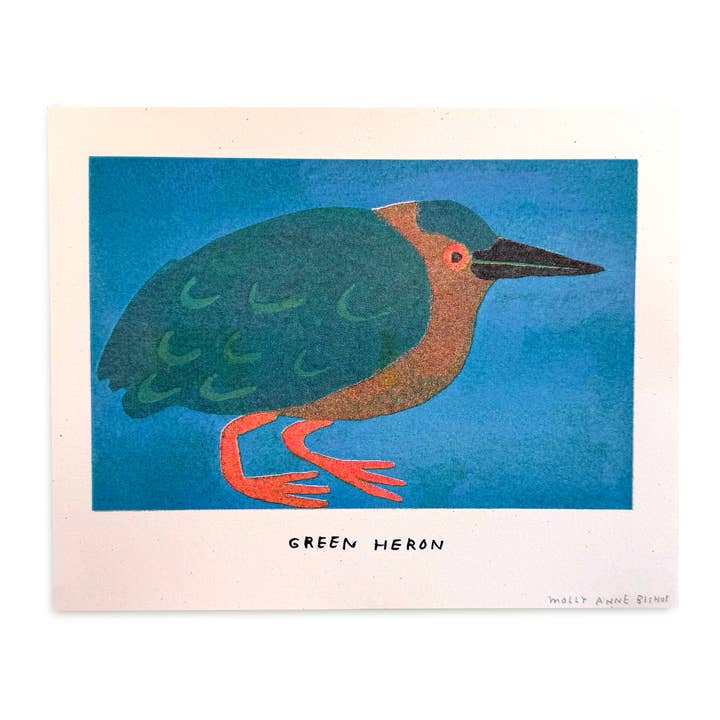 Green Heron Print for wholesale by Molly Anne Bishop