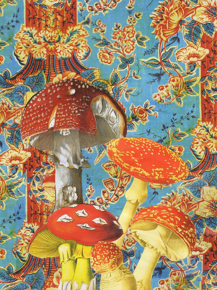 Fly Agaric Eco-Friendly Everyday Greeting Card for wholesale by Diana Wilson Arcana