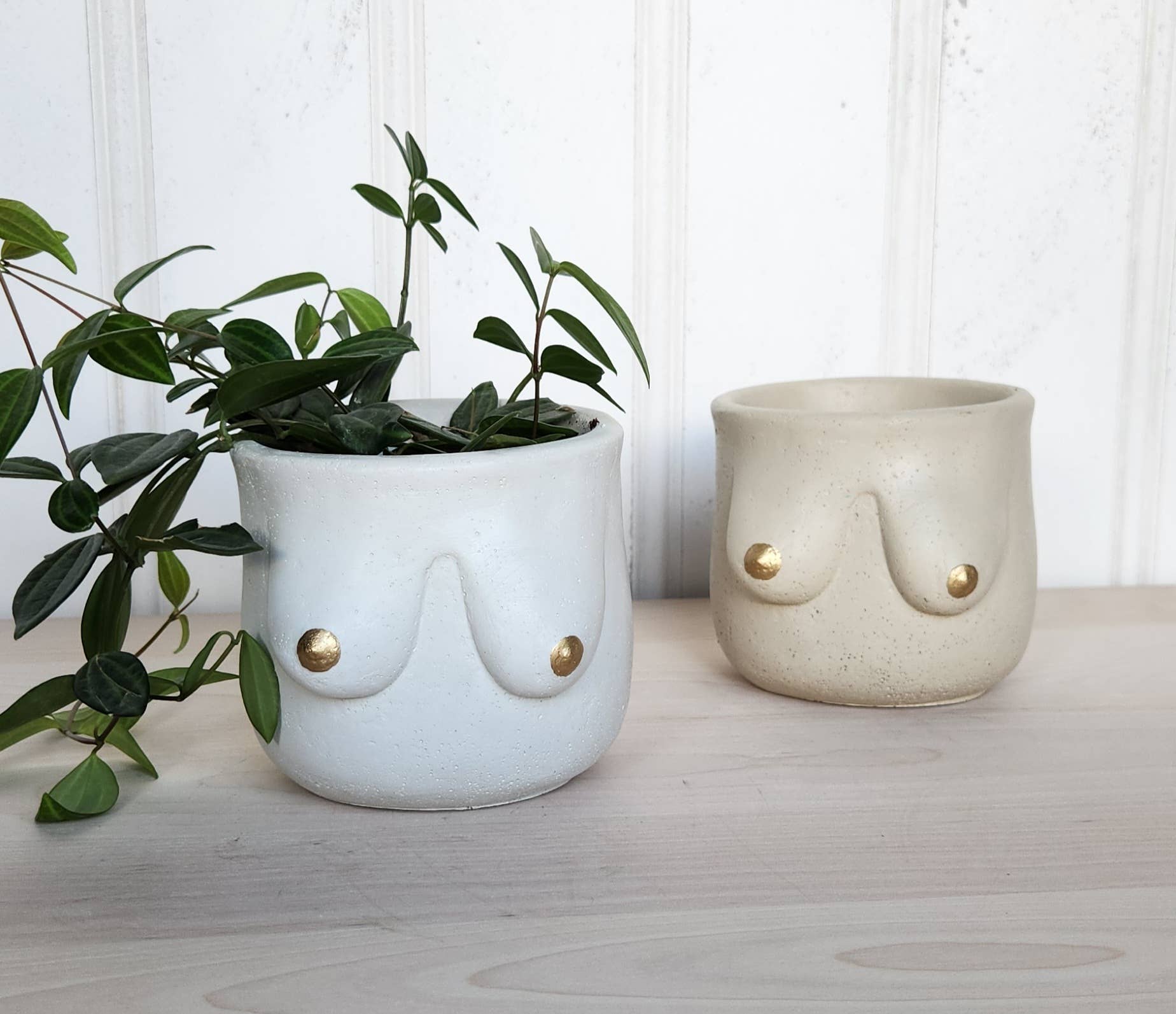 Plant 'er Here - Wholesale Plant Pot - Golden Boob Pot2