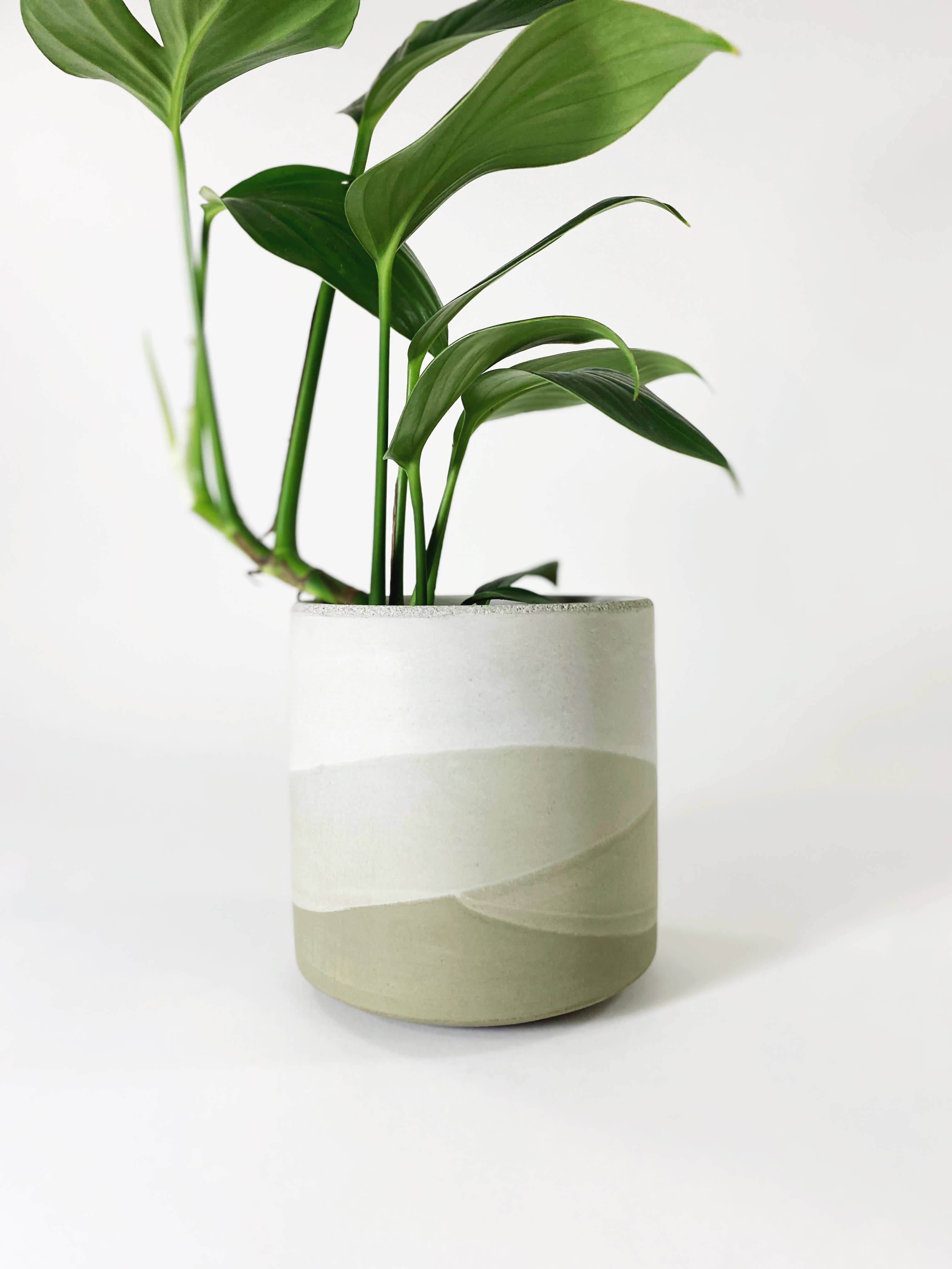 Settlewell - Wholesale Plant Pot - 6" Straight Sided Concrete Pot /  17 Colors11