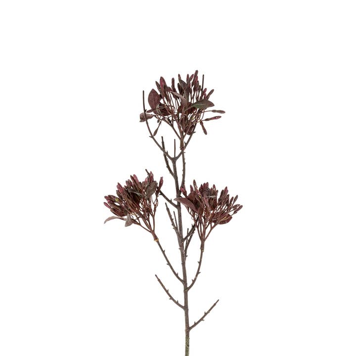 Vaporisateur de fleurs sauvages, violet foncé pour la vente par Indaba Trading