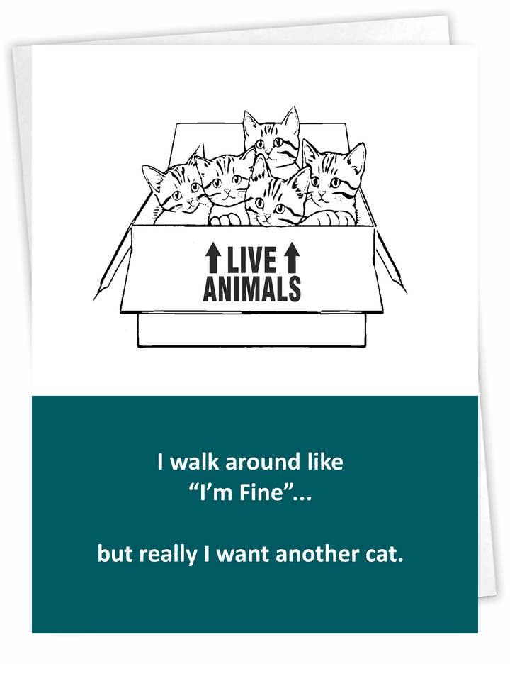 Alltagskarte | Lustige Grußkarten | Katzenlady für den Großhandel von Blue Spark Card Co