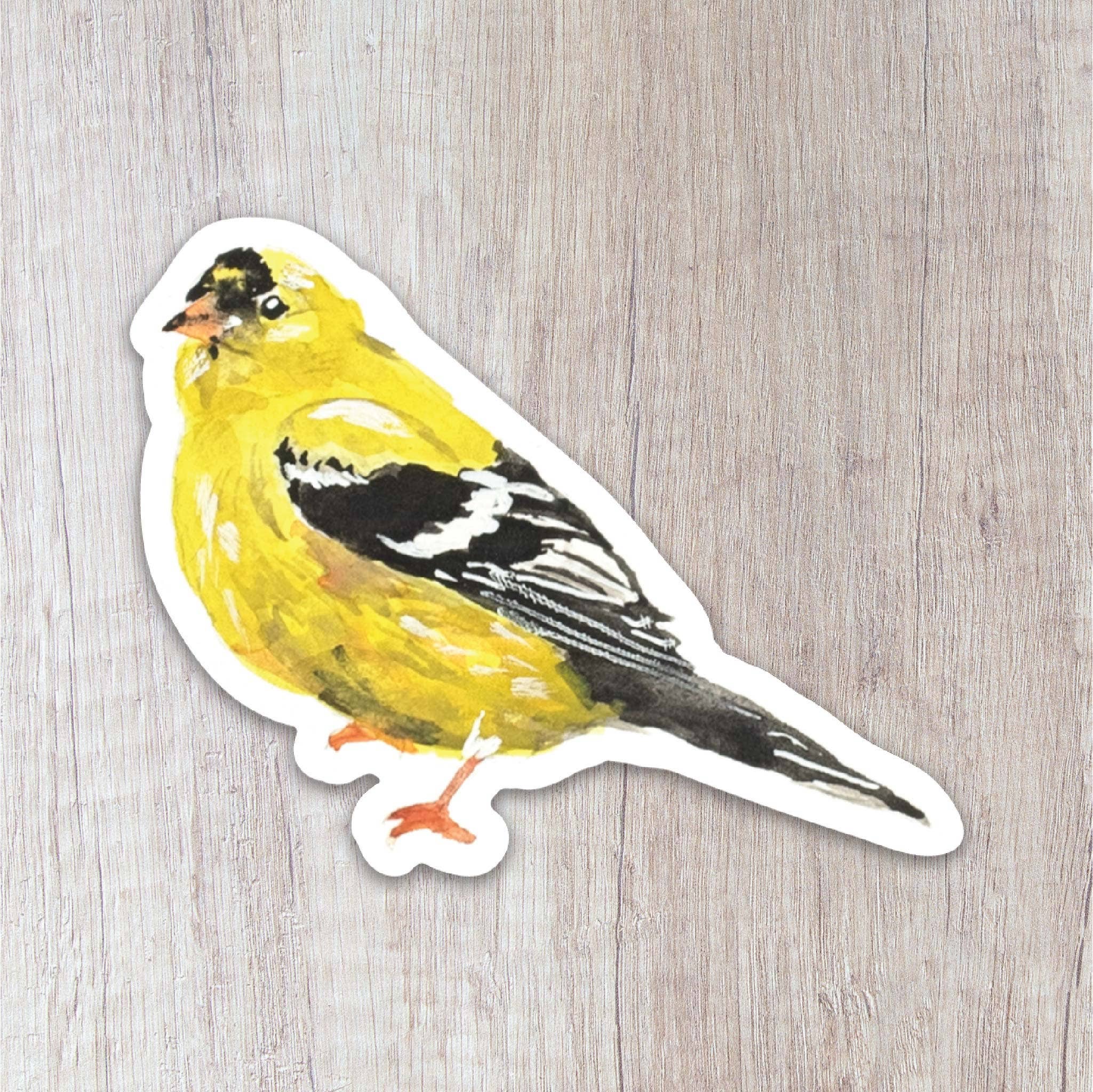 Brush & Bark - Wholesale Sticker - Goldfinch Sticker0