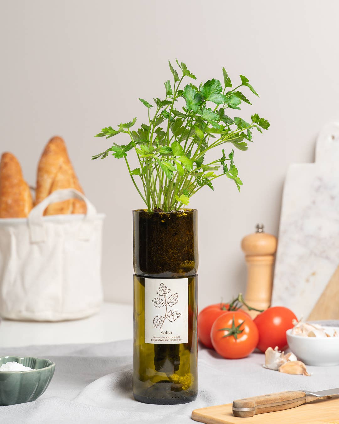 Life in a bag - Wholesale Plant Pot - Grow Bottle Salsa1