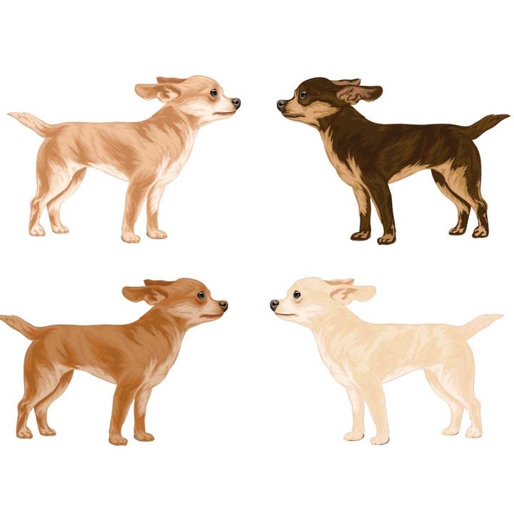 Short Haired Chihuahua Decals for wholesale by Cover-Alls Decals