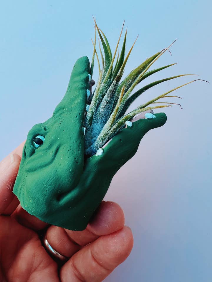 Mini pot de plante Gator avec plante aérienne pour la vente par O'Berry's Succulents