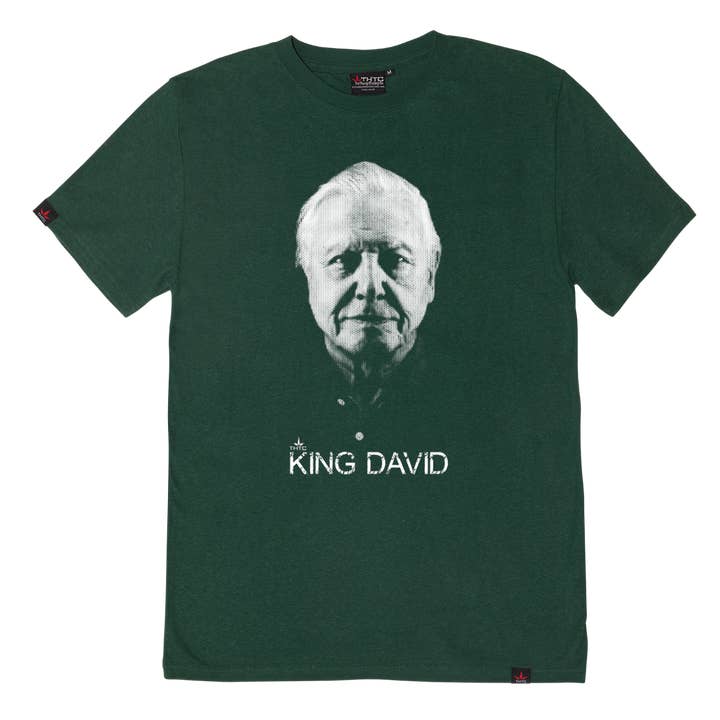 King David Hemp T-shirt - Flesgroen voor wholesale door THTC (The Hemp Trading Company)