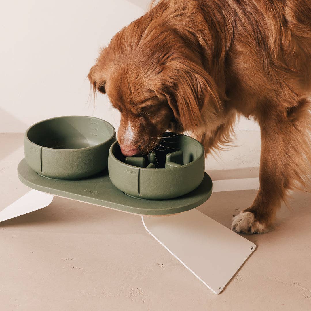 PINO - Wholesale Drinkbak - Kat/Hond - Trays voor honden20