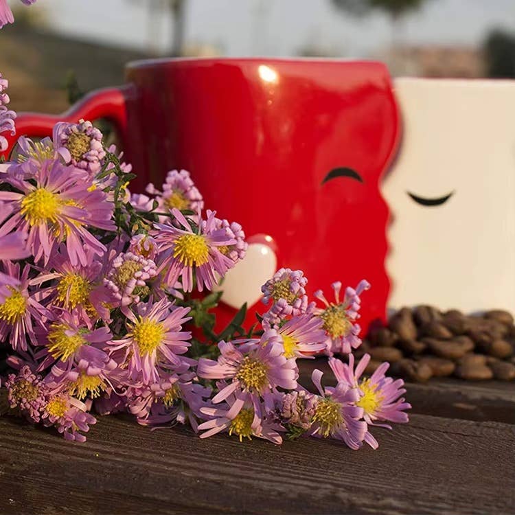 VIGOR - Wholesale Coffee Mug - Kissing Coffee Mugs Gift Set with Gift Box6