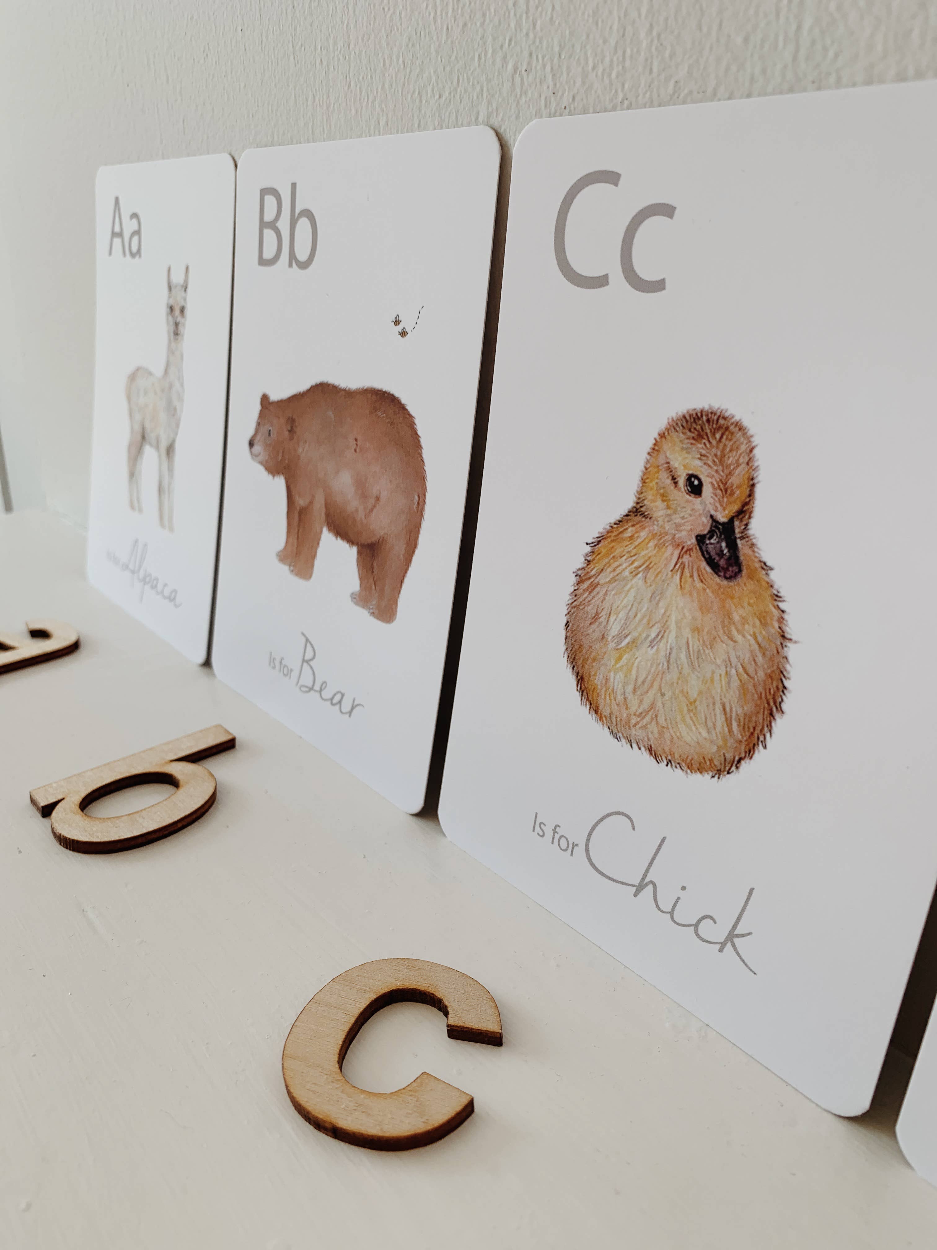 Little Roglets - Wholesale Learning Cards - Kids & Baby - Animal Alphabet Flashcards | Toys and Learning | Kids Toys8