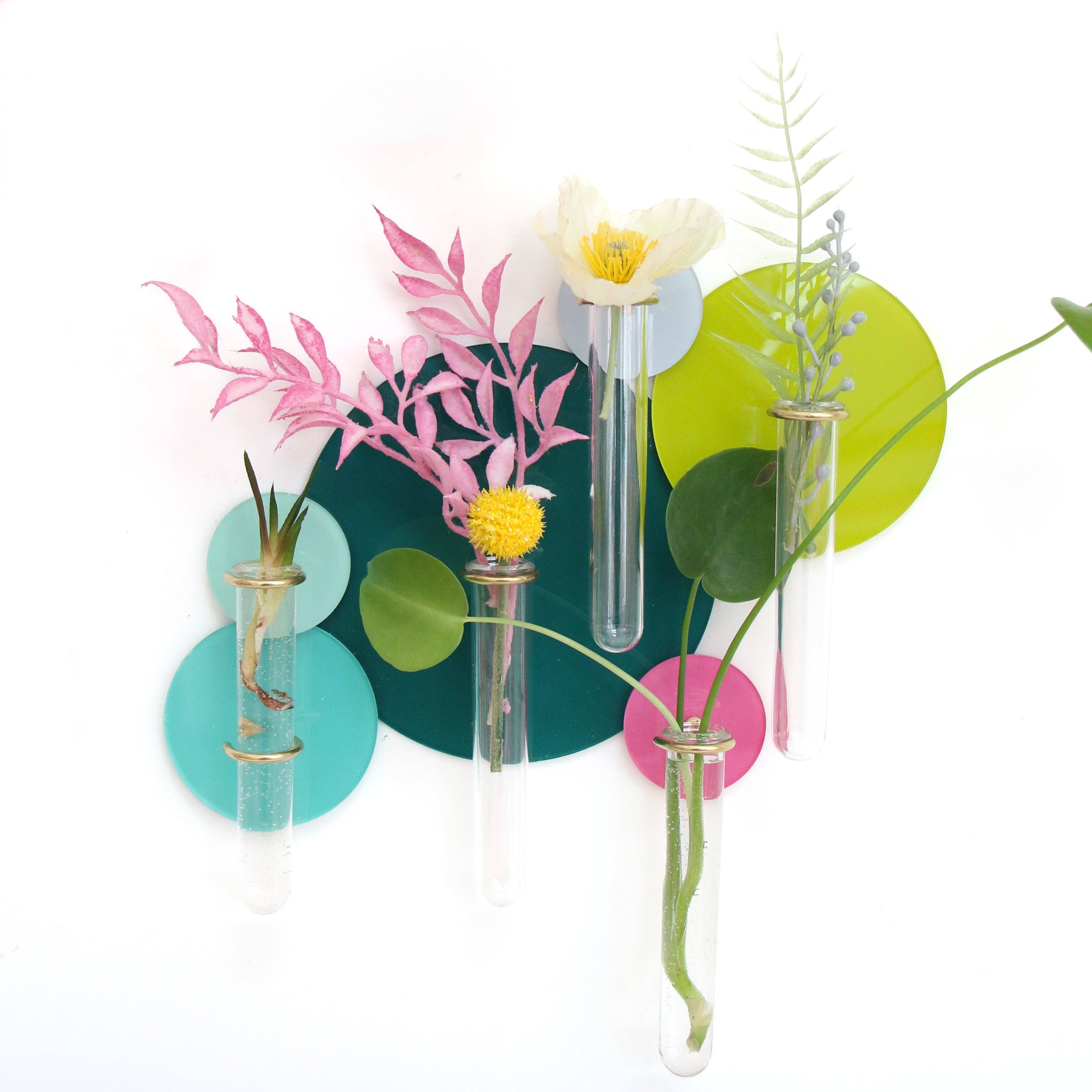 Kailo Chic - Wholesale Wall Planter - Test tubes for propagation planter hooks1