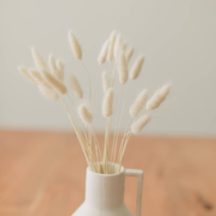 Eucalypt Co. - Wholesale Dried/Pressed Flowers - Bunny Tails
