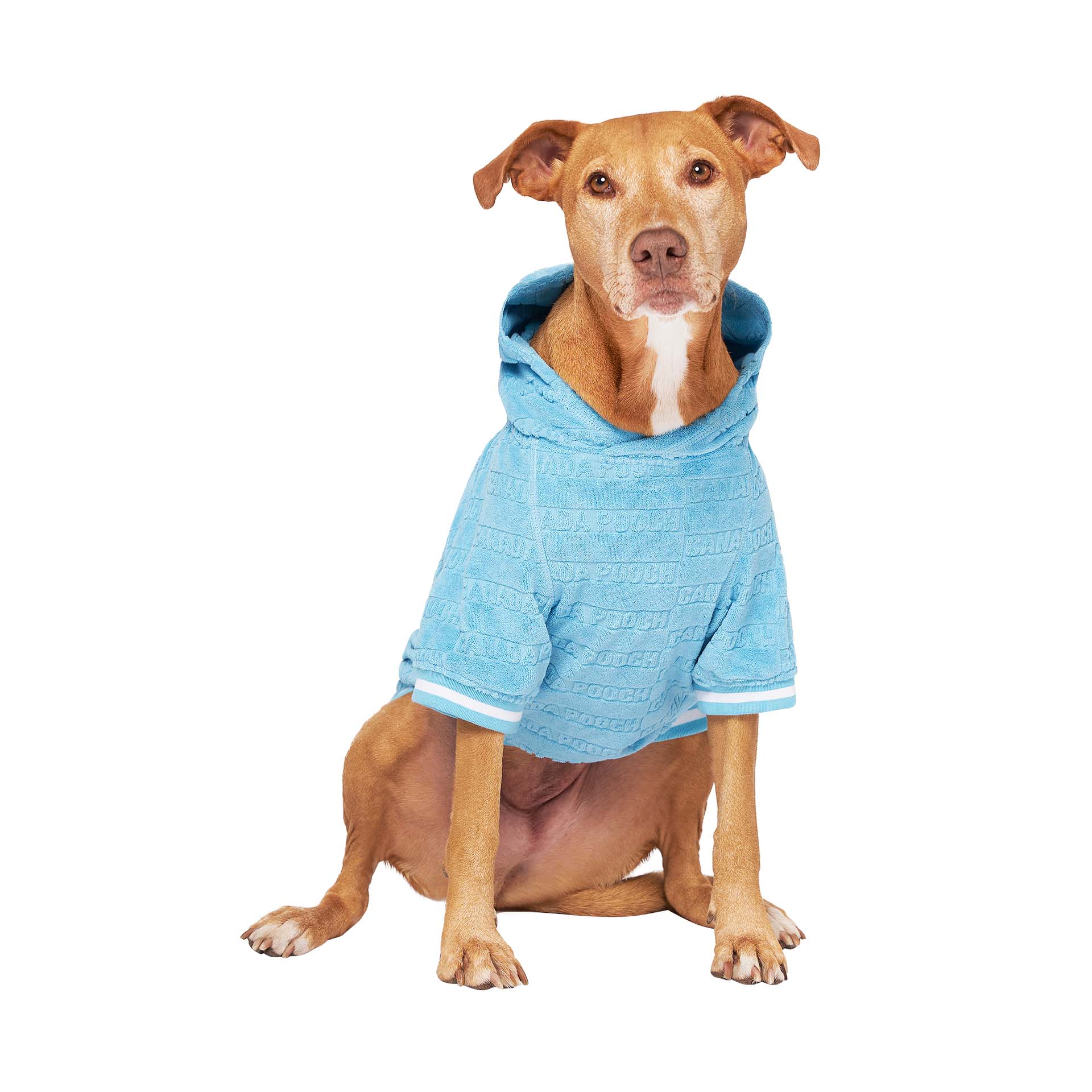Blue Beach Bum Towel Dog Hoodie (Blue) for wholesale on Faire3