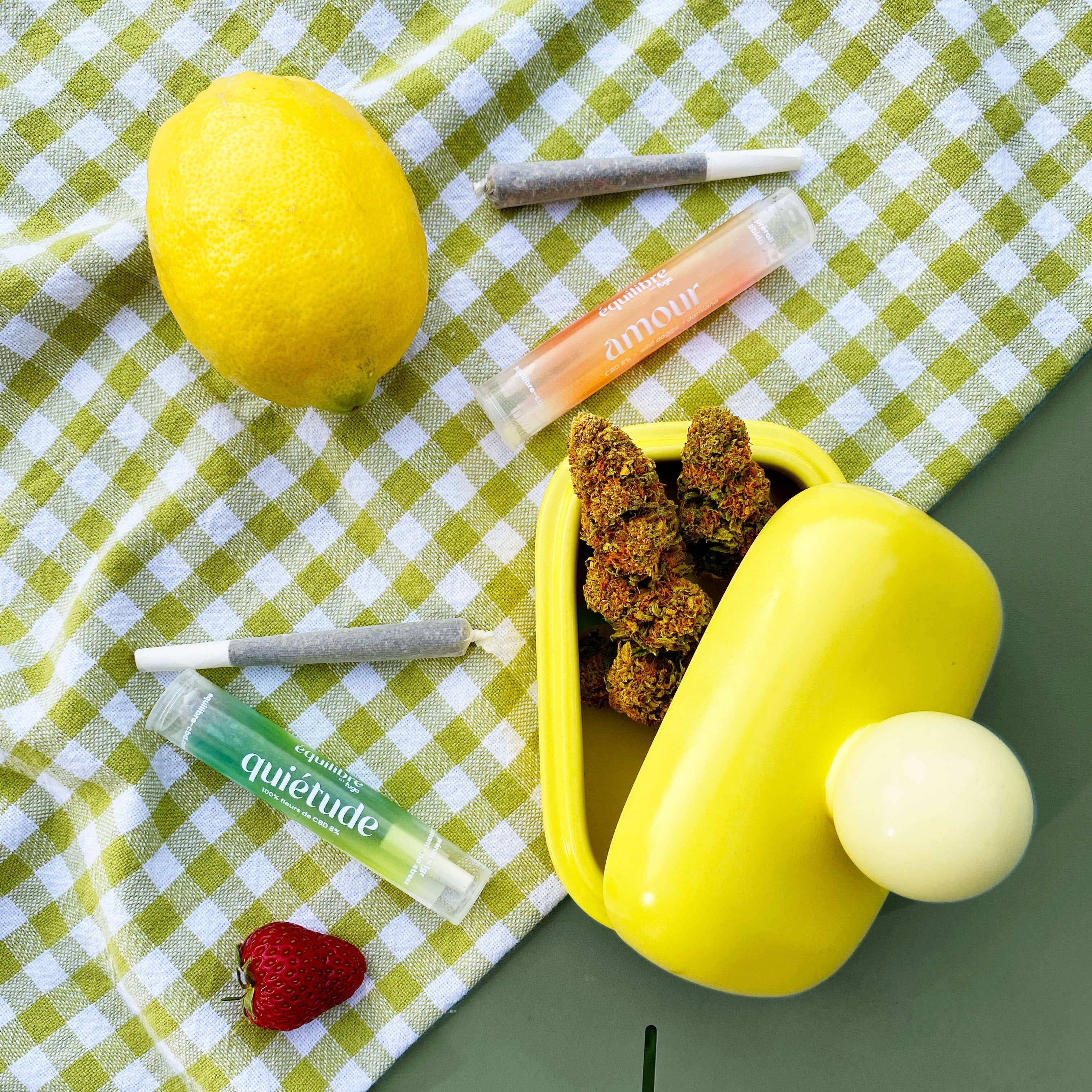 Equilibre – Großhandel Einzelhändler*innen-Display – Beauty & Wellness – Set mit 25 vorgefertigten Pflanzendrinks7