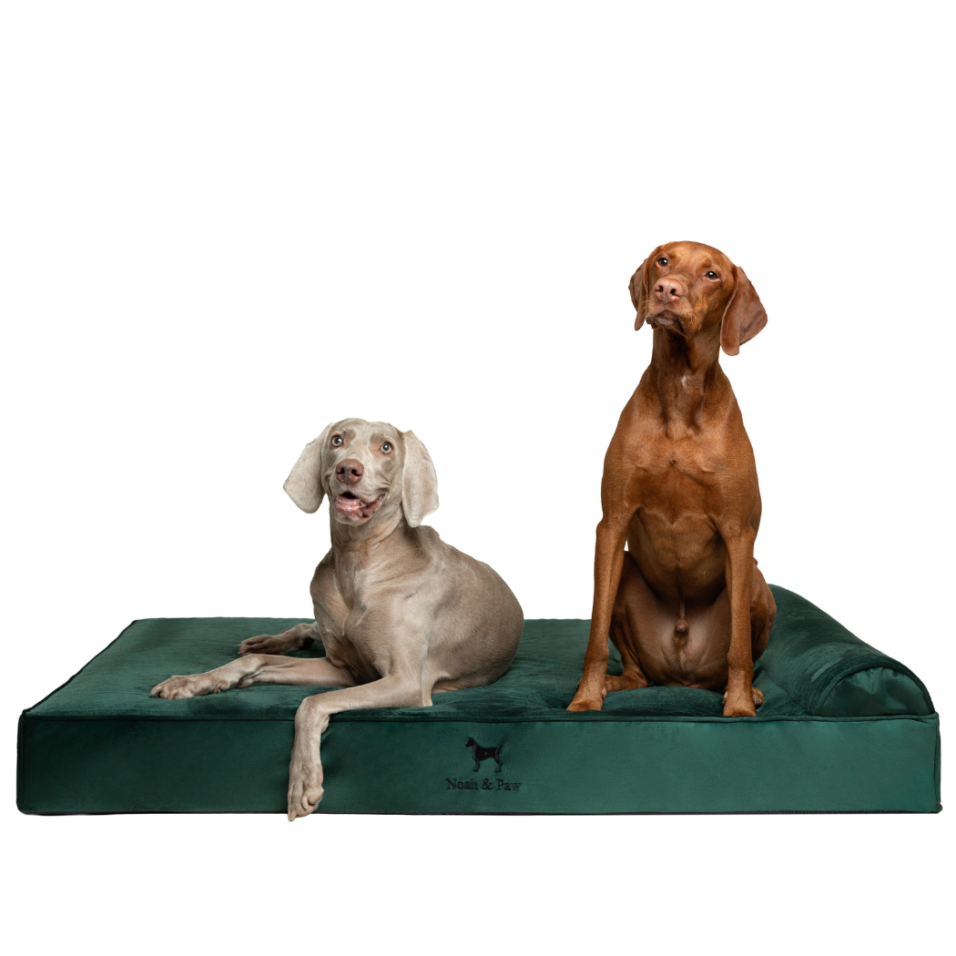 NOAH AND PAW LLC - Wholesale Bed voor huisdieren- Kat/hond - Fluwelen orthopedisch huisdierbed, traagschuim, doordrenkt met verkoelende gel - Klassiek4