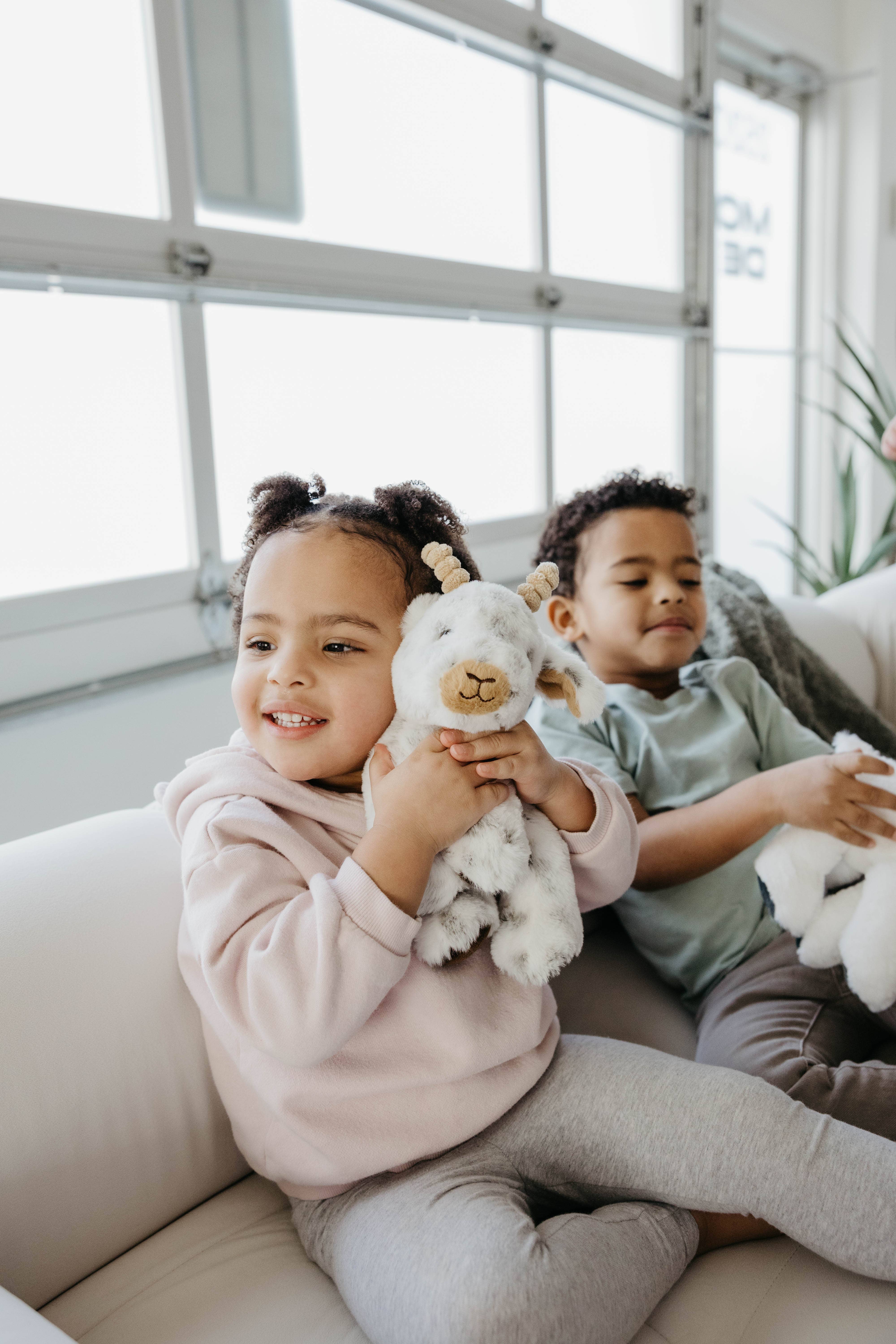 The Petting Zoo - Wholesale Stuffed/Plush Toy - Kids & Baby - 9" (20cm) Wild Onez Goat Farm Plush2