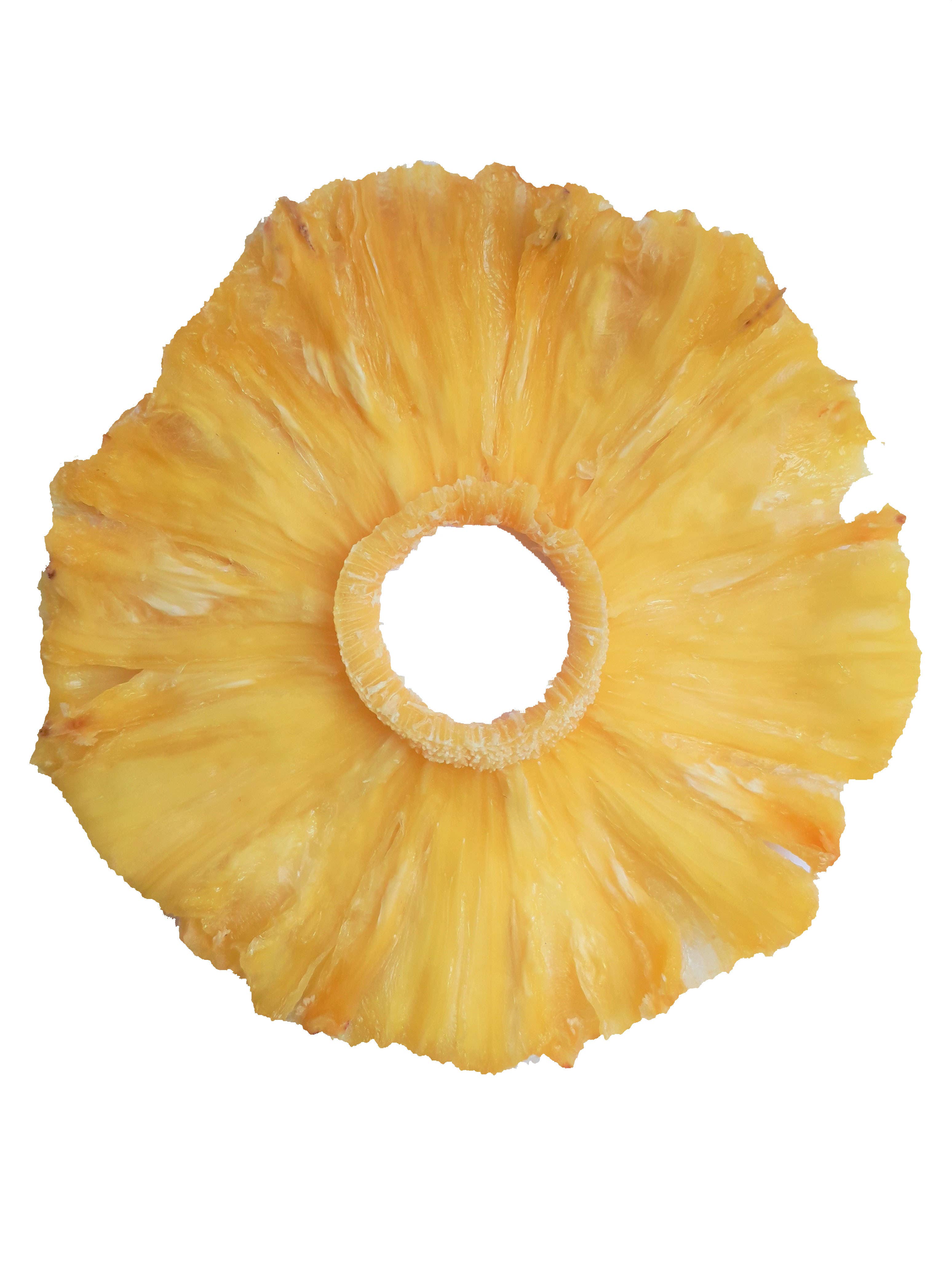 BIOGOUT - Wholesale Dried/Dehydrated Fruit - Organic dried pineapple without added sugar, without preservatives - 1kg4