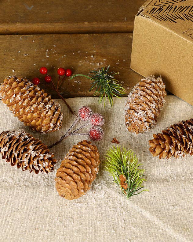 Dibor – wholesale Potpourri – Frosted Berries Pinecone Pot Pourri3