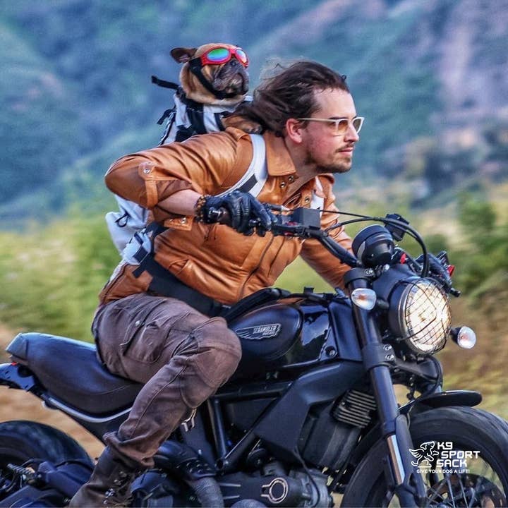 K9 Sport Sack - Venta al por mayor Transportín - Perros - Knavigate | Transportín avanzado para perros con estructura interna y cinturón lumbar28