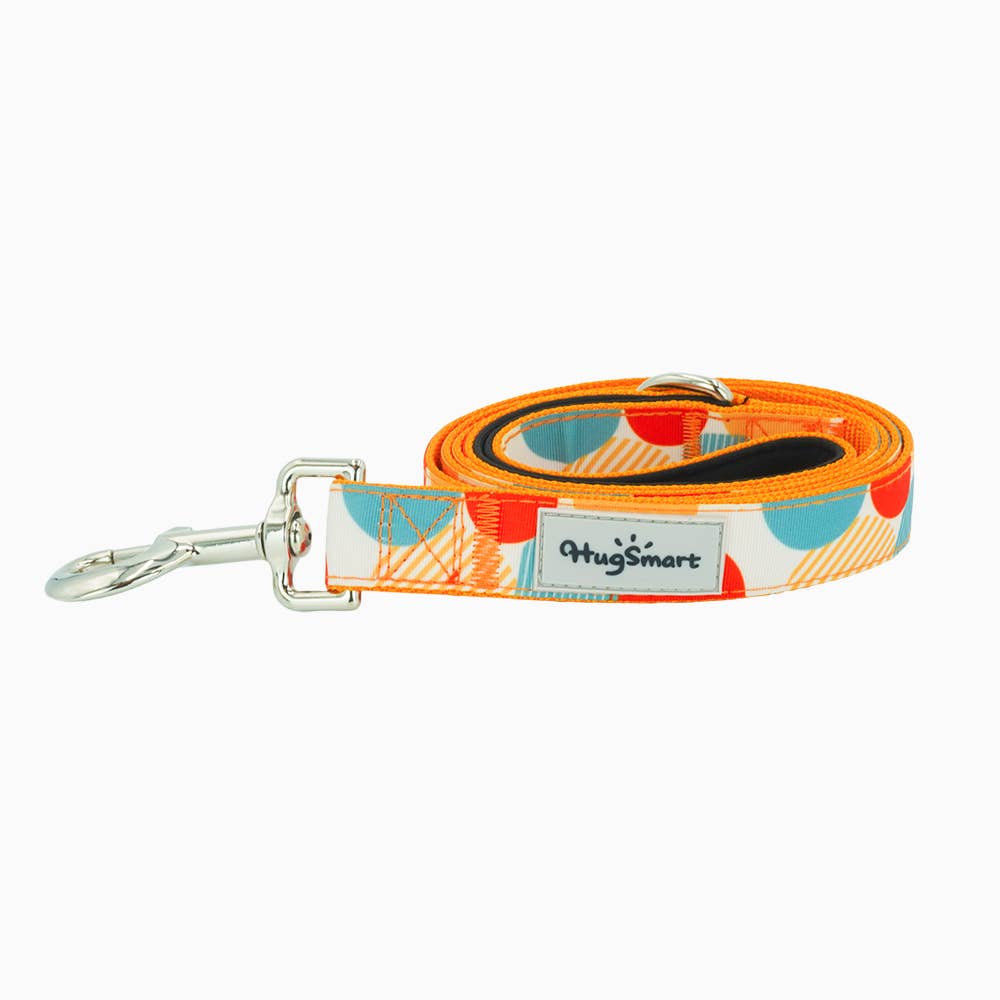 Hugsmart Products Inc – trela - Cão por atacado – HugSmart Pet - Coleira de cachorro | Dancing Dots4