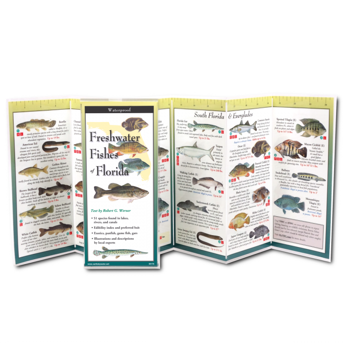 Earth Sky + Water - Wholesale Nature & Outdoors Book - Florida Freshwater Fishes1