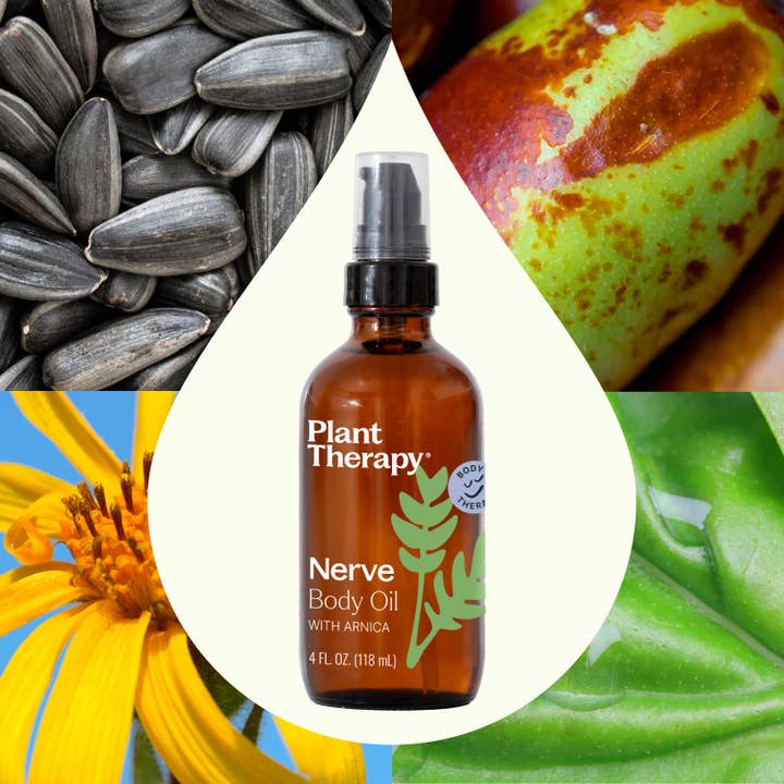 Plant Therapy - Wholesale Bath/Body Oil - Nerve Body Oil with Arnica