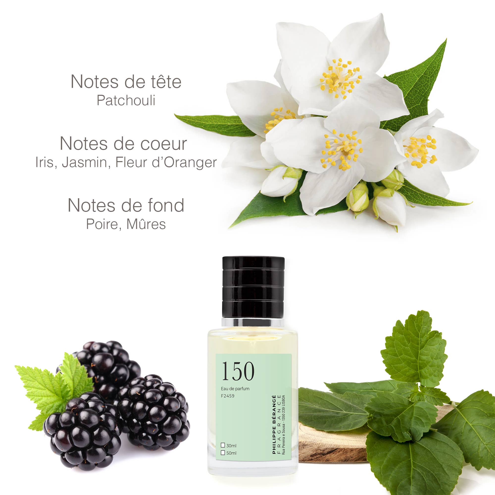 Parfums Philippe Bérangé - Vendita all'ingrosso Profumi/Eau de toilette - Eau de Parfum ispirata a Life Is Beautiful per donna No. 1501