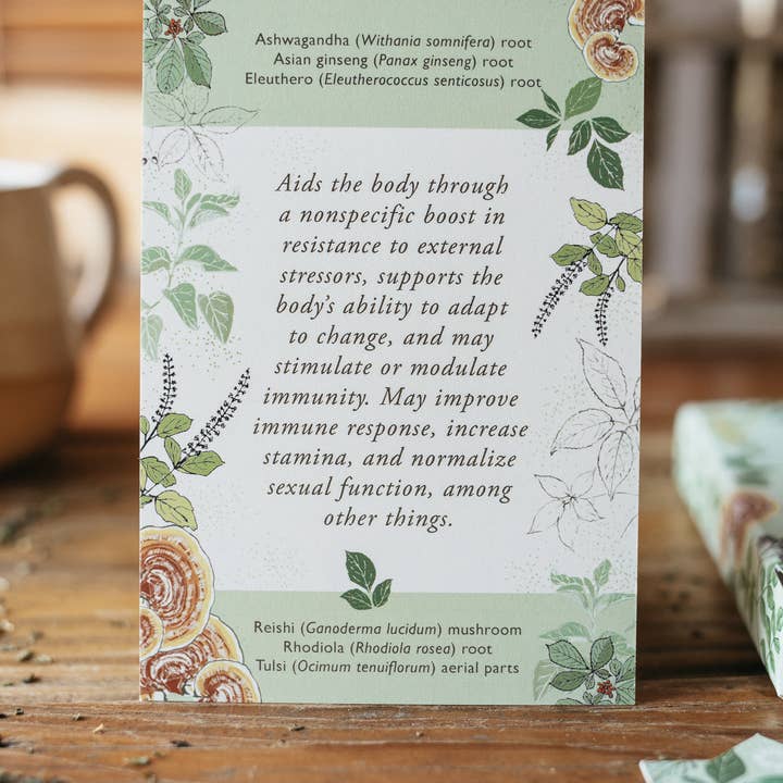 Herbal Academy - Wholesale Learning Cards - Kids & Baby - Herbal Actions Flashcards4